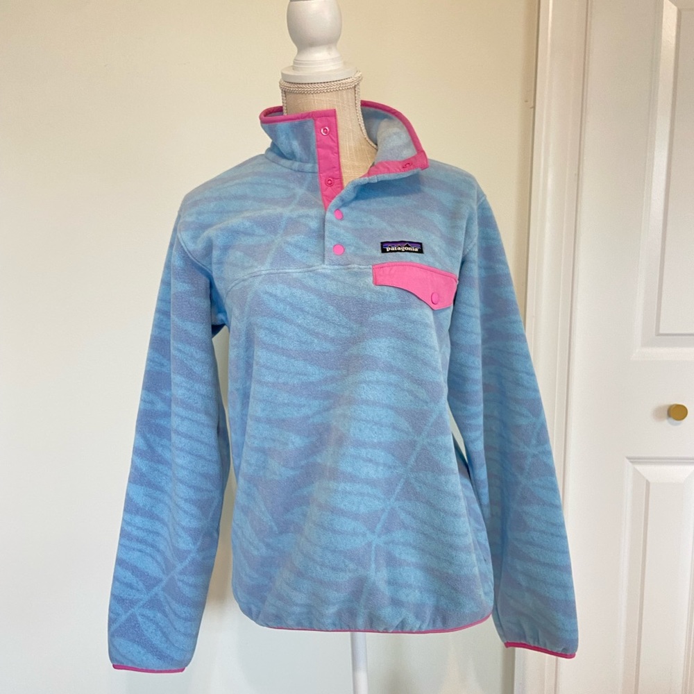 Patagonia Synchilla Fleece